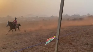 18 reactions | Course des chevaux #festival_fulbe_du_cameroun édition 2024 | Gouverneur Chipik | Facebook