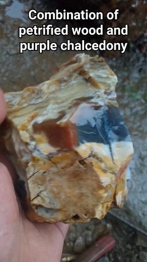 #Purple #Woodfossils #Petrifiedwood #Mineral #Chalcedony #gemstones | Zm Gemstone