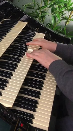 Florian Hutter on Instagram: "Rock Bottom | Florian Hutter - Wersi Atlantis #wersi #organ #keyboard #piano #synth #hammondorgan #orgel #eurovision"