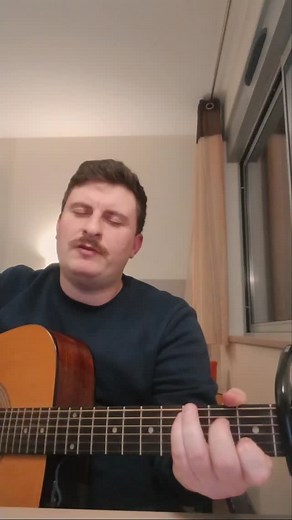 Iron & Wine - The trapeze swinger 🎶 #coversongs #folkmusic #guitarcovers | Tom Avtb