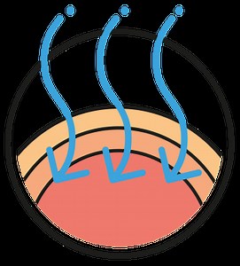 Cold plasma in veterinary medicine - ActivCell Group AG