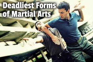 21 Deadliest Martial Arts in the World (Ranked by Brutality)