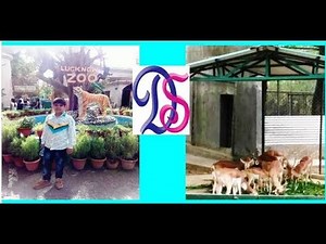 लखनऊ चिड़ियाघर / Lucknow Zoo