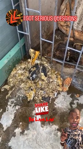 🤯 IKYFL I Got Questions That Need Answers 💀 ~Random Thought~ #IKYFL Someone Has Some Serious Explaining To Do... LIKE NOW! #FBLifestyle #NightLife #Sus #BodyCount #Dallas #Texas #ChicagoB#TheLavaLabLive™ #TheLavaLab™ >> | The Lava Lab