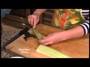 Cardoon Recipe