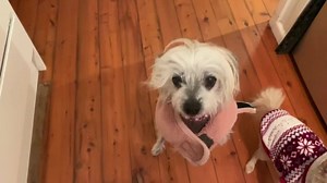 2.5K views · 554 reactions |  FLOOZIE  She was returned from...