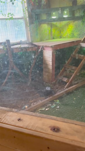 13K views · 620 reactions | Frisked for snacks | The Happy Monitor | Facebook