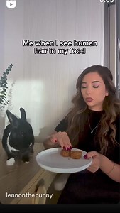 Lennon The Bunny on Reels | Facebook