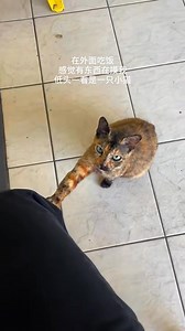 Weibo Việt Nam on Reels