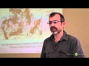 Brains & Beakers: How Ants "Do It"