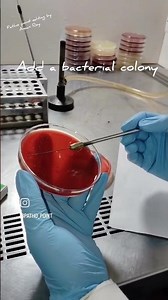 Catalase Test (Slide Method) #microbiology #biochemical