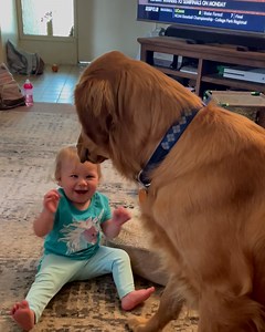 Neice to meet you *gently extends his paw 🥺🐕 | Tyla