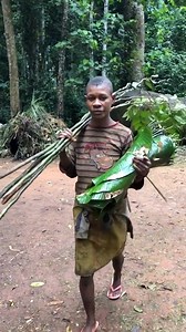 African Culture and Tradition - Pygmy Culture. Baka pygmy village of Eastern Cameroon. #Cameroon #Baka #pygmy #tradition | Groupement Babouantou