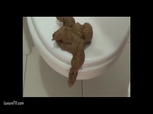 Scat play at a public restroom