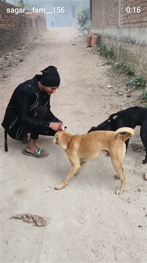 KINDNESS 🐕😊DOG LOVERS DANISH BHAII #youtube #shortvideo #danishzehan #viralvideo #trending