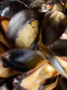 Stubborn Goat Gastropub on Reels | Facebook