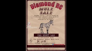 18 reactions | Consignment Only Sale - Deadline Aug 4th 2023 Diamond...