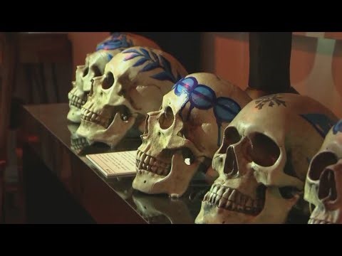 'Mind of a Serial Killer' exhibit: both disturbing and informative