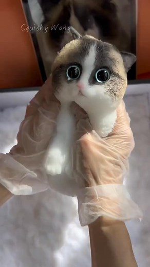 1.2K views | Muppet chubby cat in the sun.#cat #art #puppy #custom #squishy #craft #kitty #teddy #diy #ragdoll #foryou #painting #fy #bird #handmade | Dave Harris | Facebook