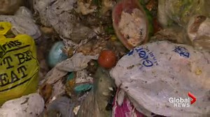 Face-to-face with food waste in Toronto