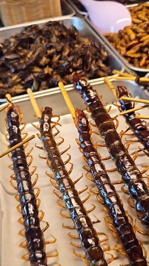 2.4K views · 21 reactions | Have you tried Thailand's Exotic Food? Insects, Worm, Scorpion, Snake, etc. We tried and this is our experience #travel #thailand #exoticfood #eatingchallenge #food #travelph | Happy and Busy Travels | Facebook