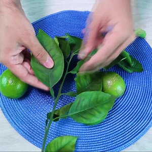 57K views · 1.7K reactions | Une feuille de citronnier et dites adieu à la dépendance à la cigarette | Recettes Maison | Facebook
