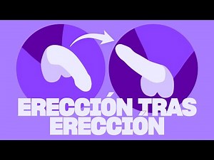 ¿Cuánto se tarda en tener otra erección?