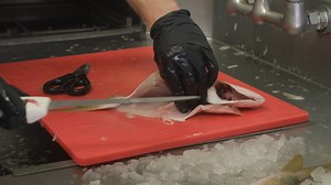 Join me as I walk you through how to fillet a Yellowtail Snapper along with Chef So from EaThai in Delray Beach, Florida. | Reed_thefishmonger