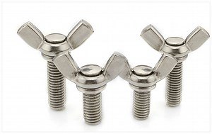 [Hot Item] Furniture Hardware Butterfly Wing Head Screw/Decorative Screws and Bolts