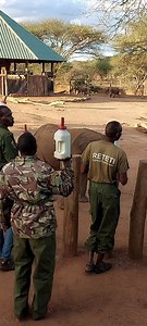 Wild Destinations on Reels