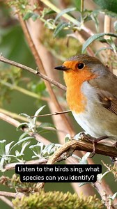 59 reactions | 30 Days Wild has begun! Today why not step outside and listen to the sounds of nature  #lovenature #lovewildlife #30DaysWild | Derbyshire Wildlife Trust | Facebook
