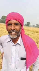 Lela yaar | Farming brain