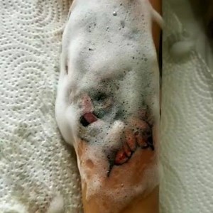 #starwars #starwarstattoo #tattooart #tattooartist #tattooer #tattoo #ink #inked #tattooflash #originalart #drawing #draw #scketch #sketching #neotradsub #neotraditionalart #neotraditional #art #neotraditionaltattoo #neotraditionaltattooers #neotradsub #neo #thegallotattooer #costarica #puravida | The Gallo Tattooer Page