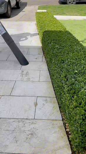 Satisfying Gardening Compilation #satisfying #gardening #asmrvideo | All About Grass and Gardens