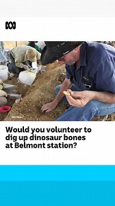 1.7K views · 15 reactions | You don't need to be a paleontologist to dig up dinosaur bones 練 These amateurs have helped unearth a 95-million-year-old skeleton. Reporting by Grace Nakamura via ABC Western Queensland Full story: ab.co/3PRRbZt | ABC Rural | Facebook