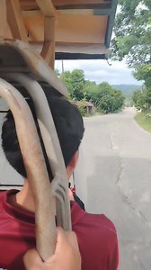 After class pumunta kami sa may sinking | Nelson Vlogs | Nelson Vlogs