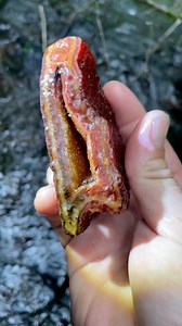 Crazy find! #carnelian #crystals #agate #creek #rockhounding #rockhound #washington | Chris Sims
