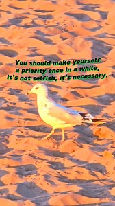 2.3K views · 95 reactions | Prioritize yourself. #selflove #quotes #viral #SelfCare #wisdom Title: Welcome You Home Artist: Global Genius Link: https://www.facebook.com/sound/collection/?sound_collection_tab=sound_tracks&asset_id=449114593632358&reference=artist_attr | Quotes and Notes | Facebook