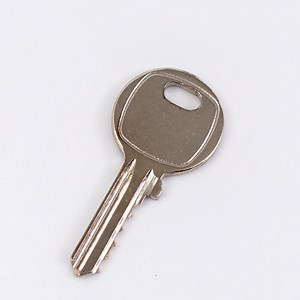 [Hot Item] House Auto Parts of Door Key Blank with Customized Logo Color