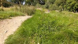 1K views | Comrie Croft on Reels | Facebook