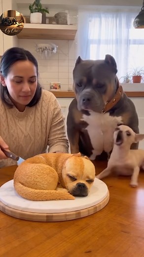 😂 hahaha “© Oy One – AI Original” “Oy One – Do Not Copy” “Oy One – All Rights Reserved” #chihuahua #rottweiler #USAanimals #usreels #animallover #brunoandprincess #funnypets #OpticalIllusionRug #PetComedy #viralpets #PetReactions #princessthechihuahua #PetFamily #CuteAndFunny | Apex Reality