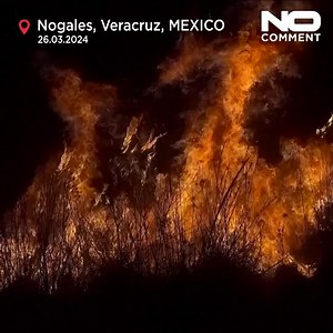 The number of Mexican states affected by forest fires that have devastated hundreds of hectares in Mexico has risen to 18, authorities said Tuesday. | NoComment | Facebook