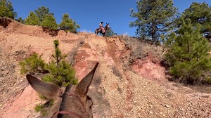 Big hill slide with GRAYLIE , WYATT, HANDSOME JACK , CAROLINE , TRINITY | Max Bishop