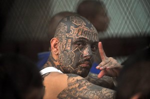 MS13: World's most Dangerous Gang - Top Documentary Films