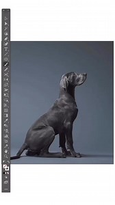 3.8K views · 34 reactions | Logo design ideas  #logodesinger #logodesignchallenge #logodesigner #logodesigning #logochallenge #logotype #logodesigns #logos #logo #logodesign | Logo Design | Facebook