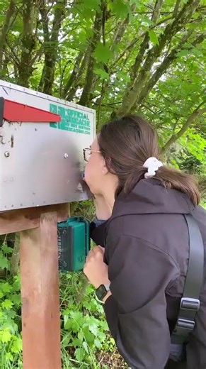 Looking to really make your geocache hide pop? 🎈#geocaching #geocache #geo