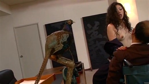 High School Girls Violence Classroom - Bee