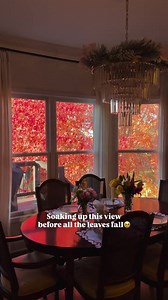 Stunning autumn foliage display visible through dining room windows