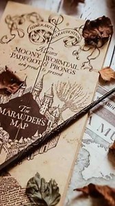 3 datos del mapa del merodeador 🫎🐶🐺🐀 | Albus Dumbledore