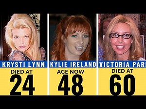 Top 27 Legendary Classic Blonde Adult Stars of the 90s